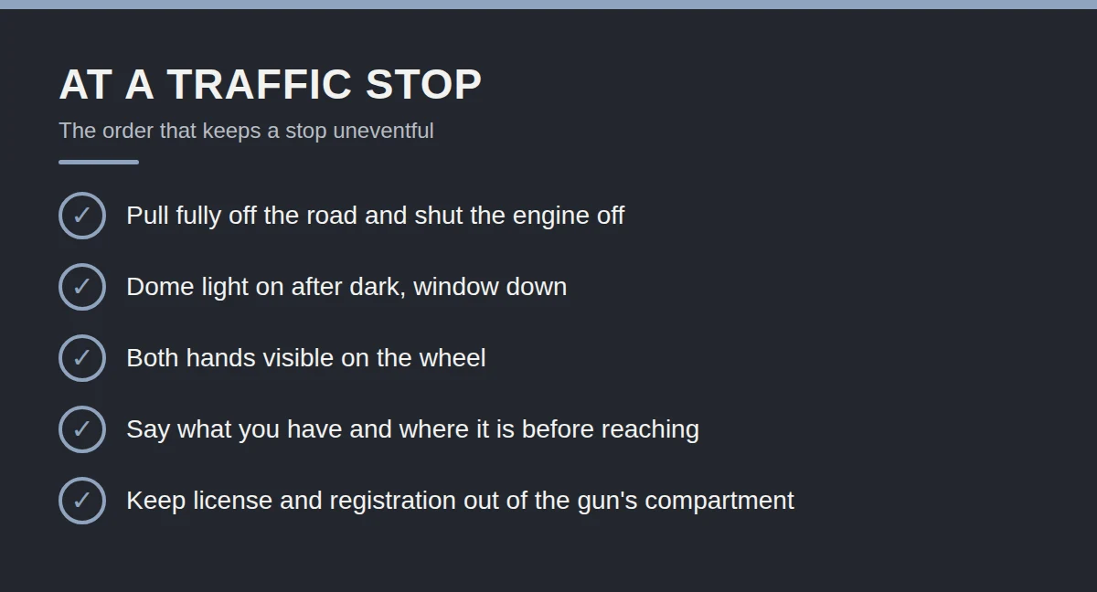 Summary card: At a Traffic Stop